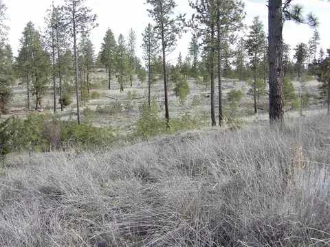 lot2 Pine Hen Ln, Davenport, WA 99122