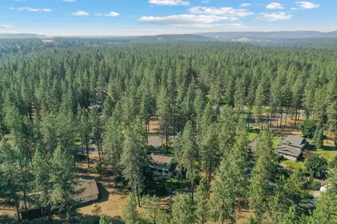 View/Area - 3611 E Pine Needle Ave, Colbert, WA 99005 photo 1 of 1