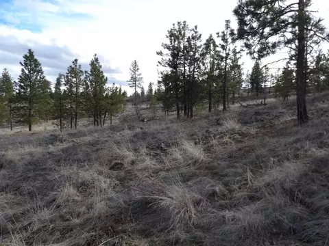 Tract E Meadow Lane Rd, Davenport, WA 99122