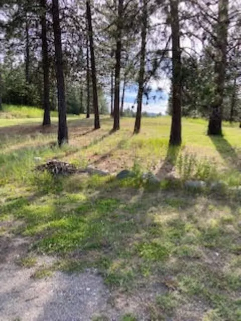 108 S Main St, Springdale, WA 99173