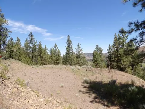 lot2 Chukar Short Plat Ln, Davenport, WA 99122
