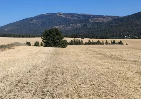 8006 South Jackson Road, Mica, WA 99023