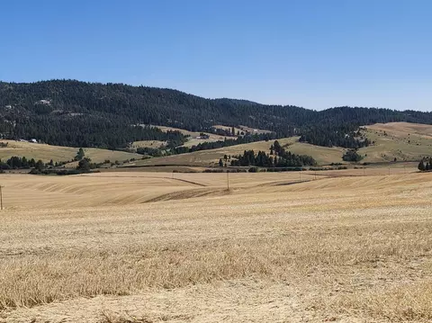 8004 South Jackson Road, Mica, WA 99023