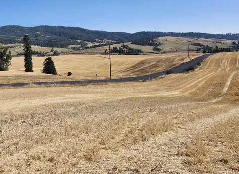 8002 South Jackson Road, Mica, WA 99023