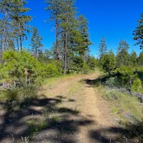 lot B Kronos Short Platpine Hen Ln, Davenport, WA 99122