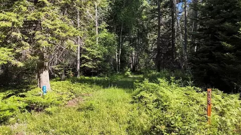 238 Rustic Rd, Cusick, WA 99119 photo 5