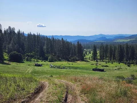 Nnn Hall Creek Rd, Inchelium, WA 99138