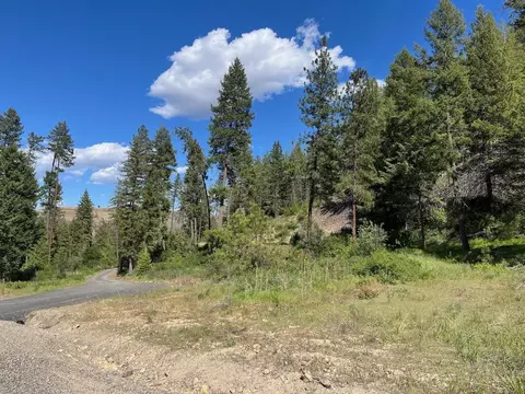 31270 Blue Grouse E Dr, Davenport, WA 99122