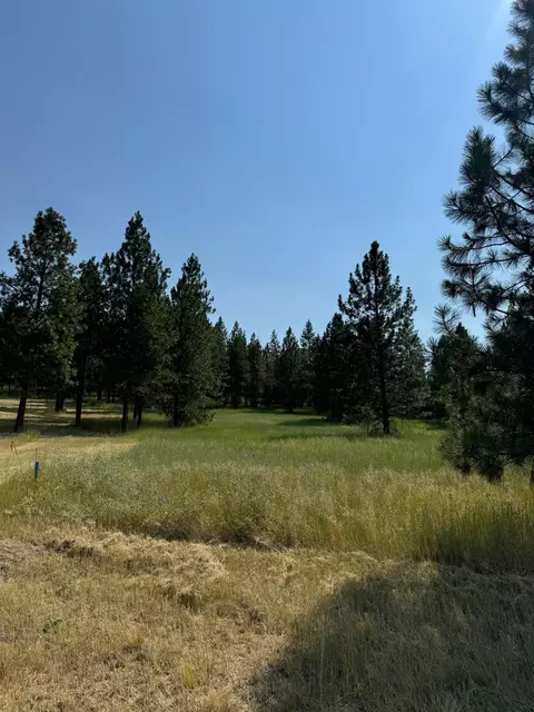 498 E Nn E Forest Dr, Davenport, WA 99122