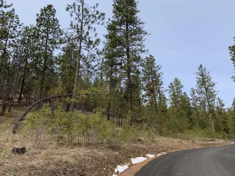 Wapiti 3 Bob White Ln, Davenport, WA 99122