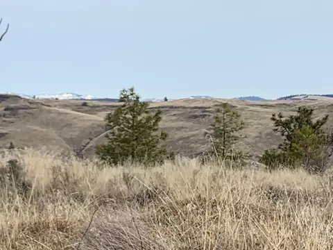 31805 Ruffed Grouse E Dr, Davenport, WA 99122