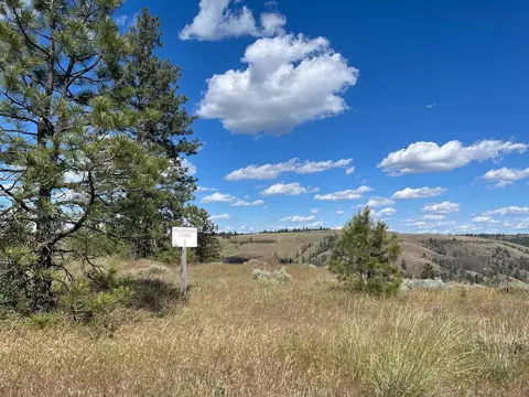 31805 Ruffed Grouse E Dr, Davenport, WA 99122