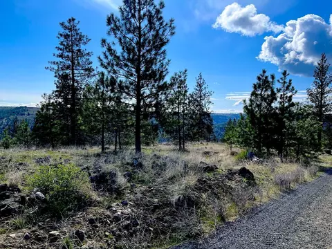 34430 Partridge N Ln, Davenport, WA 99122
