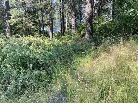 4619 Terrace Rd, Loon Lake, WA 99148