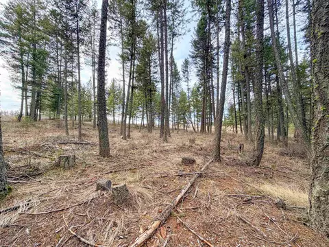 1210 Spring Way, Evans, WA 99126 photo 45