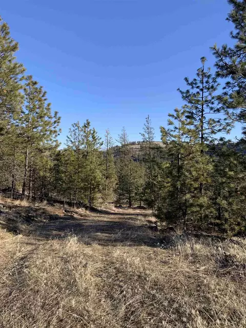 lot1 Blue Jay Bob White Ln, Davenport, WA 99122