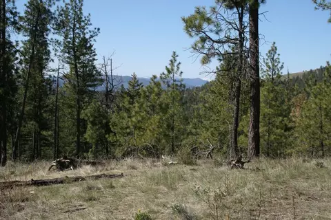 Nn Coyote Canyon Rd, Fruitland, WA 99129