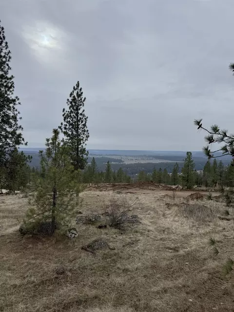 4699 W Landon Ln #SITE 131, Spokane, WA 99208