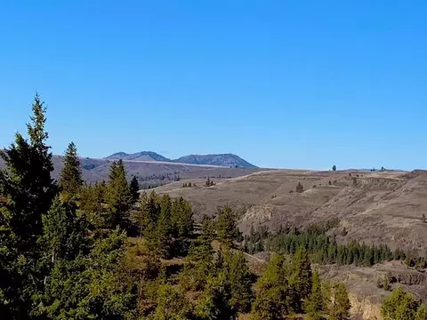 31775 Ruffed Grouse E Dr, Davenport, WA 99122