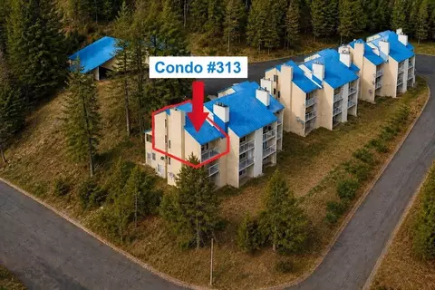 28600 N Mt Spokane Park Dr # 313, Mead, WA 99021