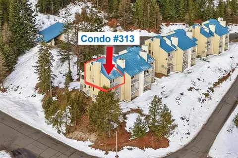 28600 N Mt Spokane Park Dr # 313, Mead, WA 99021
