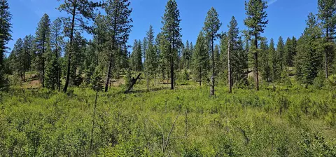 20 Lynx Rd # X, Inchelium, WA 99138