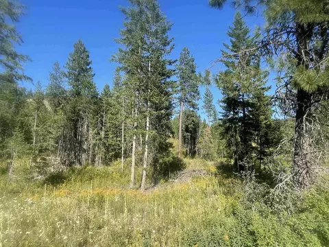 Nkn Bead Lake Road Rd, Newport, WA 99156