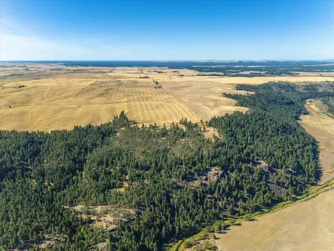 Nnn E Cornwall Rd, Spangle, WA 99031 photo 8