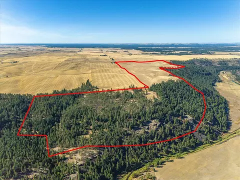 Nnn E Cornwall Rd, Spangle, WA 99031 photo 6