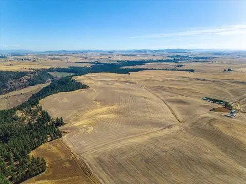 Nnn E Cornwall Rd, Spangle, WA 99031 photo 4