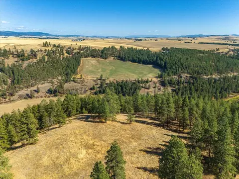 Nnn E Cornwall Rd, Spangle, WA 99031 photo 27