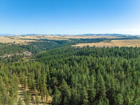 Nnn E Cornwall Rd, Spangle, WA 99031 photo 37