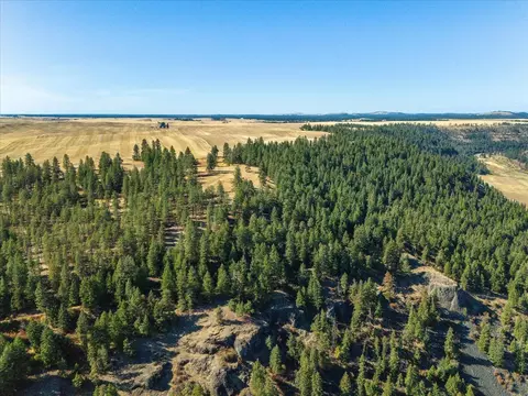 Nnn E Cornwall Rd, Spangle, WA 99031 photo 36