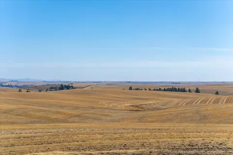 Nnn E Cornwall Rd, Spangle, WA 99031 photo 44
