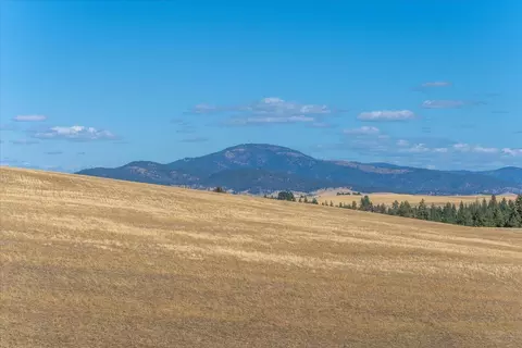 Nnn E Cornwall Rd, Spangle, WA 99031 photo 43