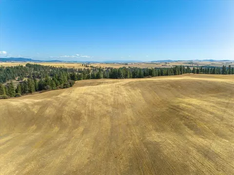 Nnn E Cornwall Rd, Spangle, WA 99031 photo 19