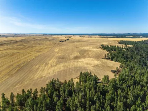 Nnn E Cornwall Rd, Spangle, WA 99031 photo 24