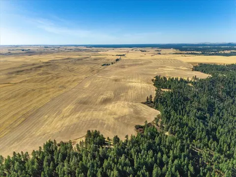 Nnn E Cornwall Rd, Spangle, WA 99031 photo 25