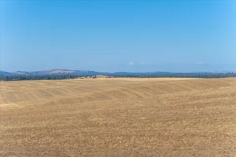 Nnn E Cornwall Rd, Spangle, WA 99031 photo 45