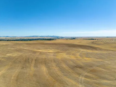 Nnn E Cornwall Rd, Spangle, WA 99031 photo 16