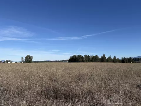 21 N Nnn N Division Ln, Colbert, WA 99005 photo 4