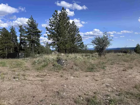 6581 Saddle Mountain Way, Deer Park, WA 99006
