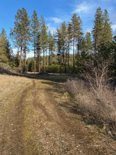 441 S Hwy 231 Parcel #2463200, Springdale, WA 99173