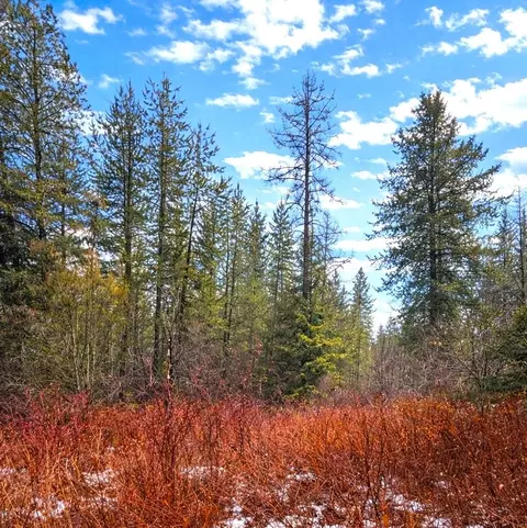 43 E Nn E Deer Lake Rd, Loon Lake, WA 99148