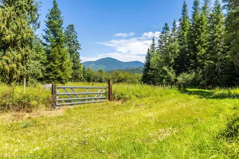 263 Fourspots Rd, Cusick, WA 99119 photo 38