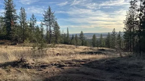 Nka Landon Ln, Spokane, WA 99208