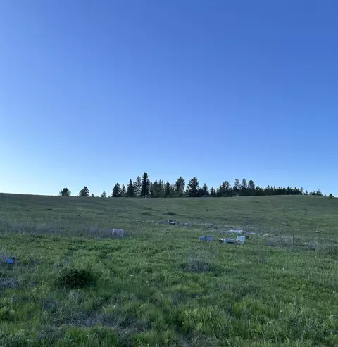 117 E Nn E Tallman Rd, Chattaroy, WA 99003