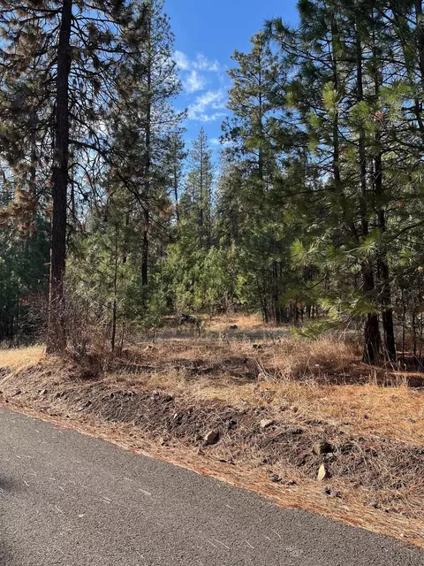 lot2 Wapiti Bobwhite Ln, Davenport, WA 99122