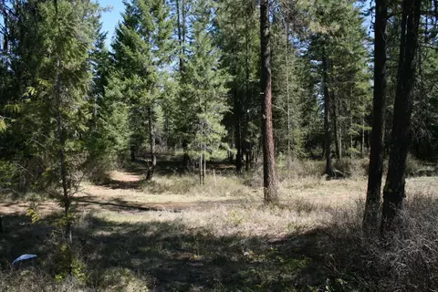 Nn Bowler Rd, Springdale, WA 99173