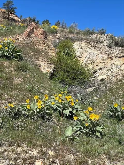 Nna Soap Lake Rd, Other, WA 98829